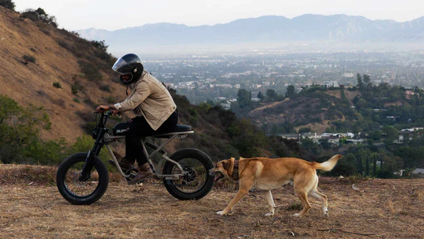 Rider and dog on a hillside trail overlooking the city