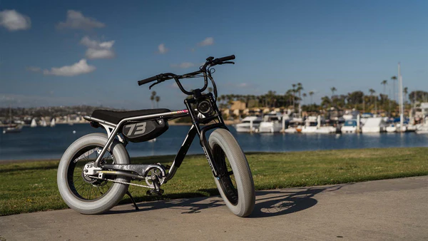 Z-Series bike profile at the harbor
